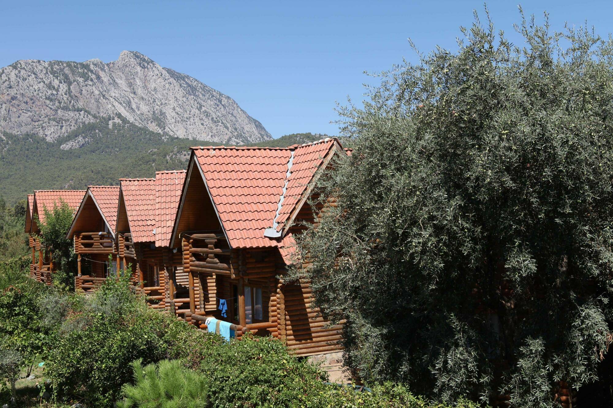 Woodline Hotel Goynuk  Exterior photo